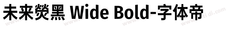 未来熒黑 Wide Bold字体转换